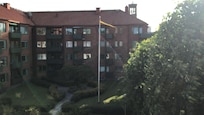 View outside our window