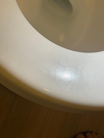 Pubic hair on toilet seat from previous guest