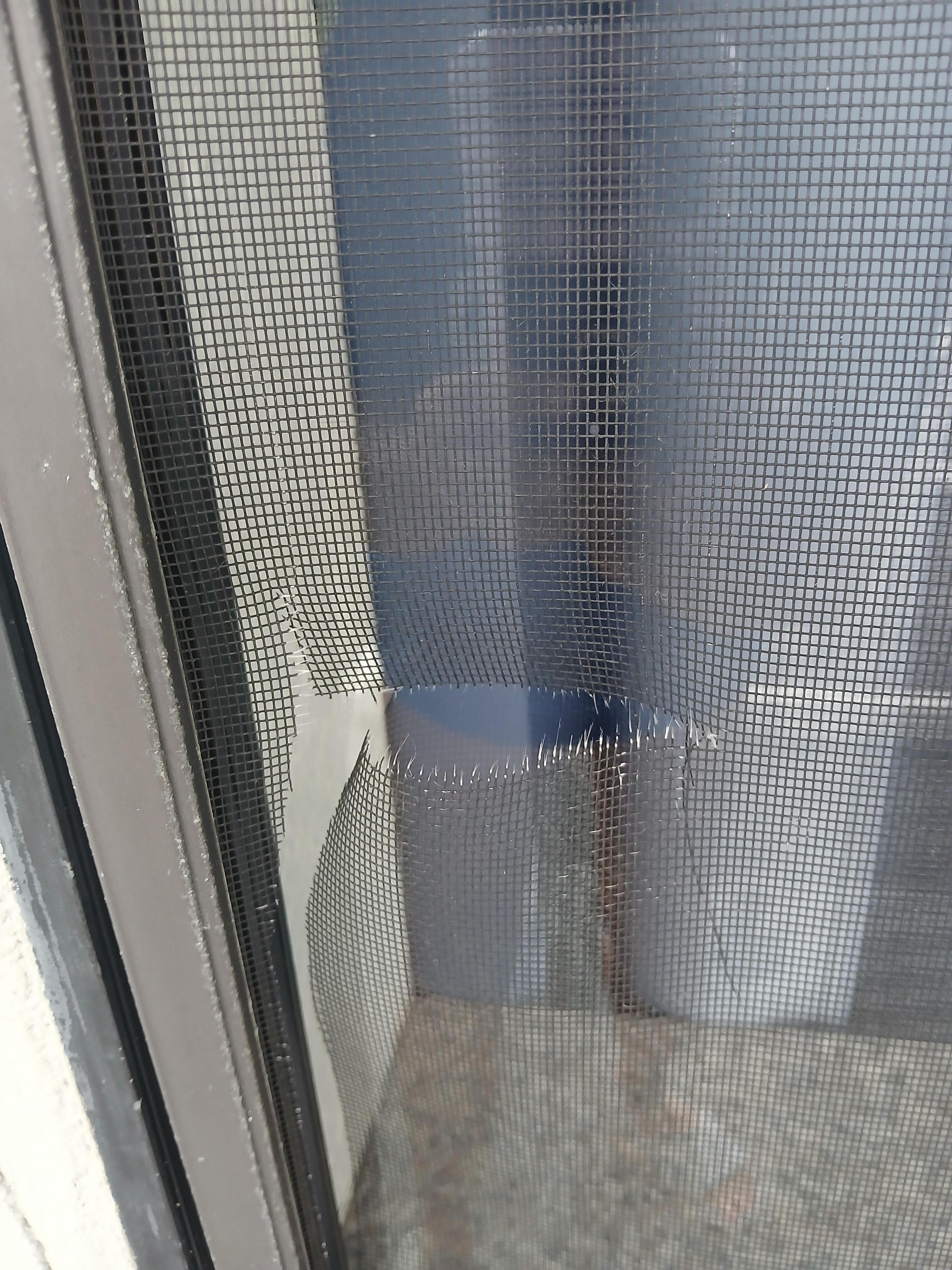 Ripped screen