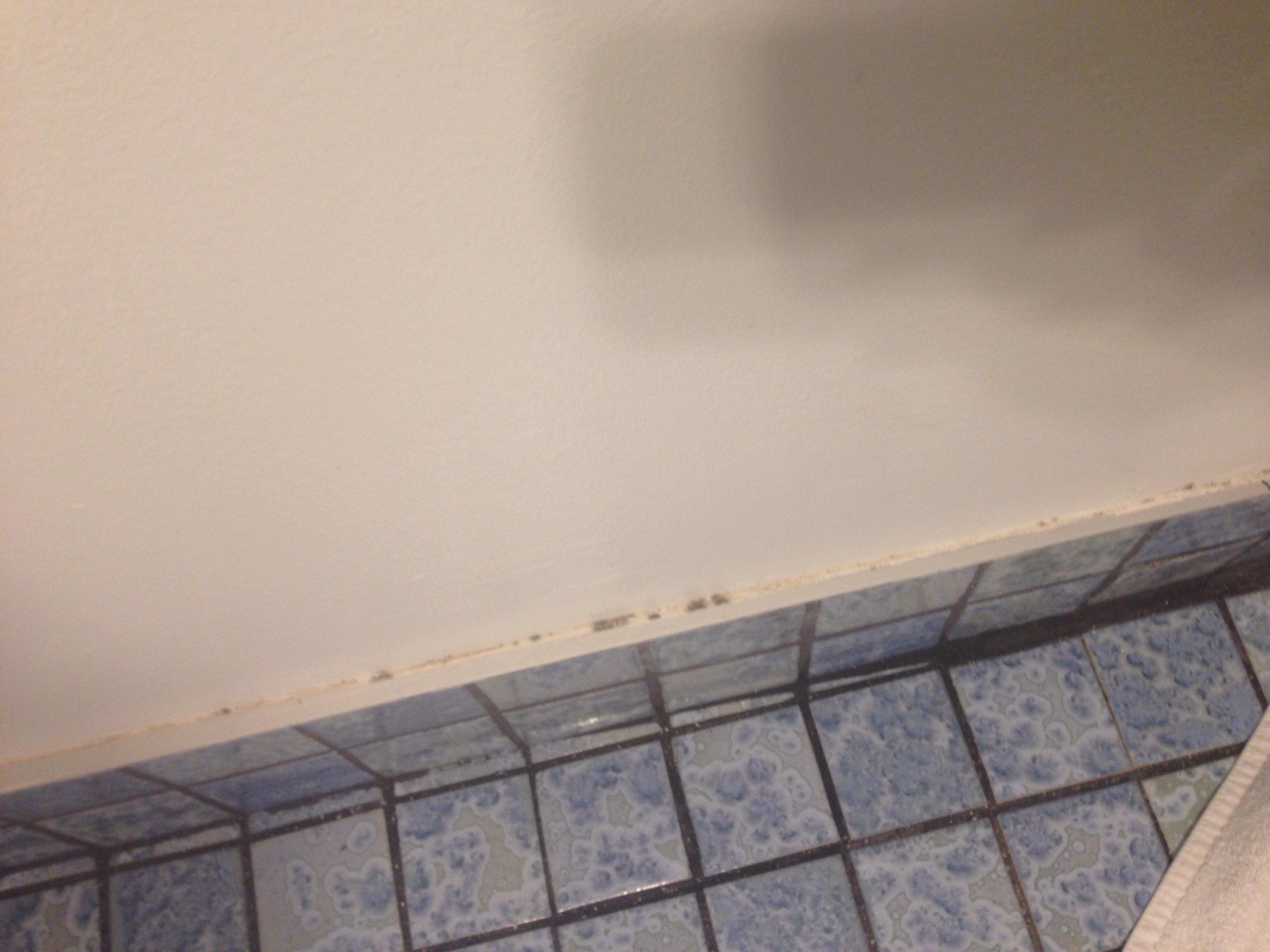Stains behind bathroom door.