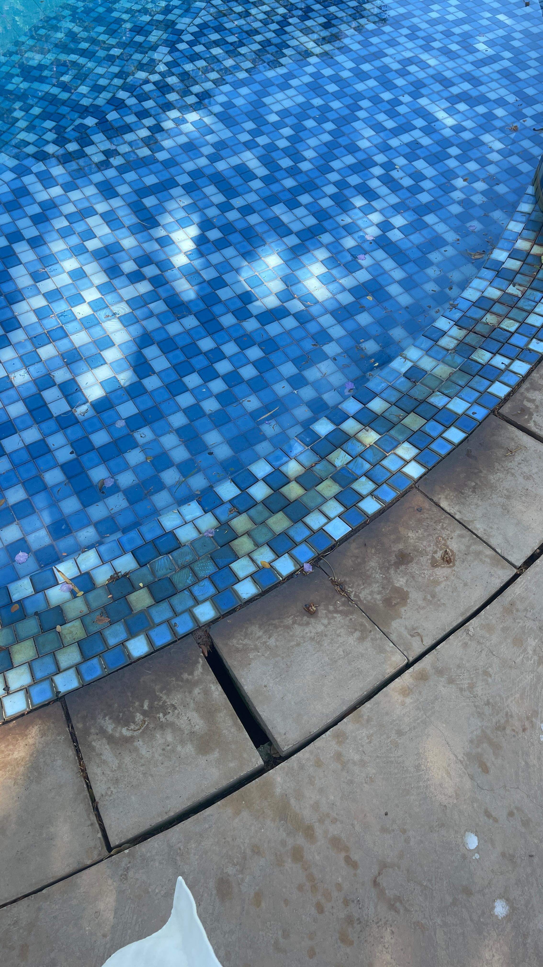 The pool is not properly filtered. The water is not high enough for the infinity edge, so there’s always stuff floating 
