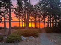 My husband took this photo from the steps of the house one morning when the sun was rising.