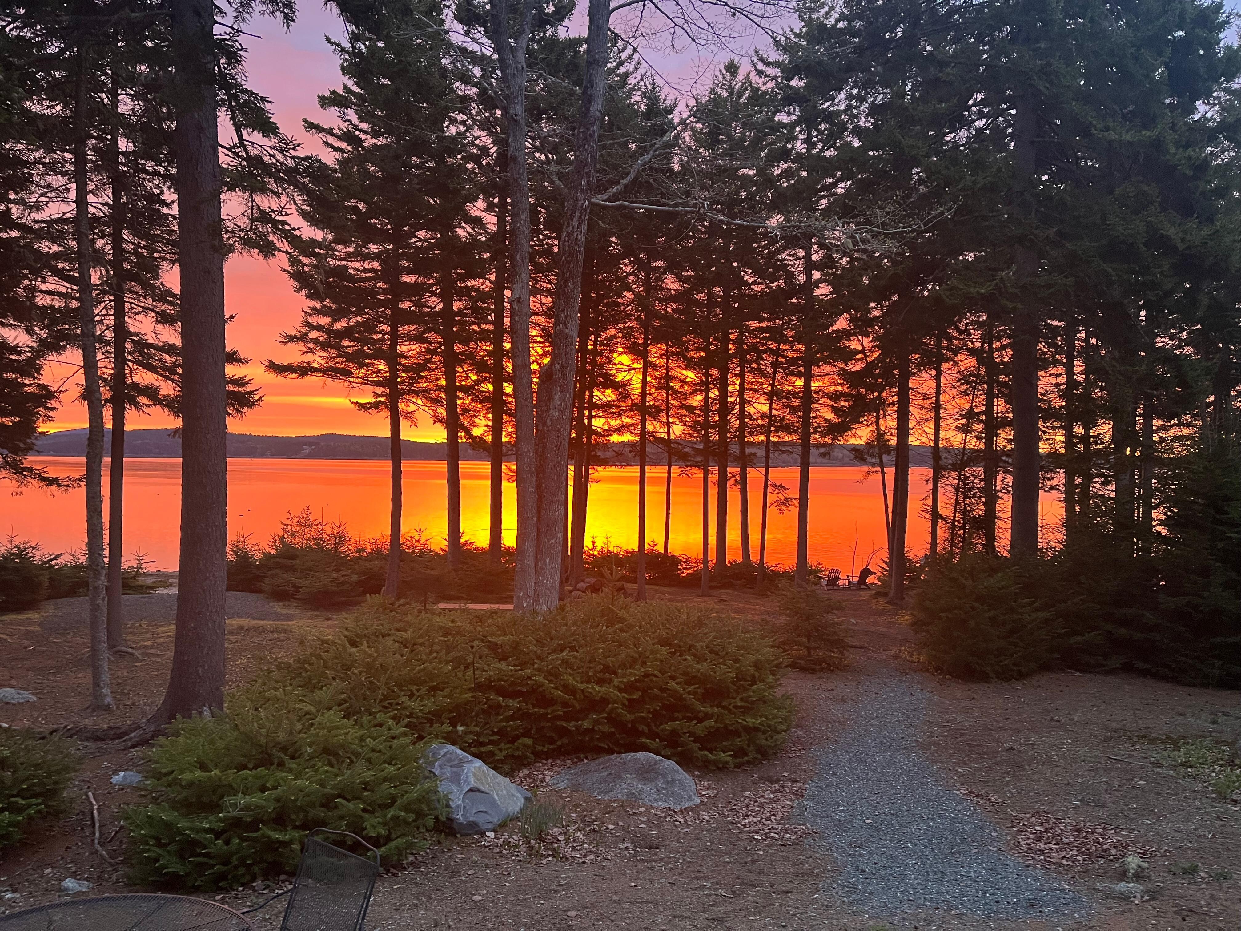 My husband took this photo from the steps of the house one morning when the sun was rising.