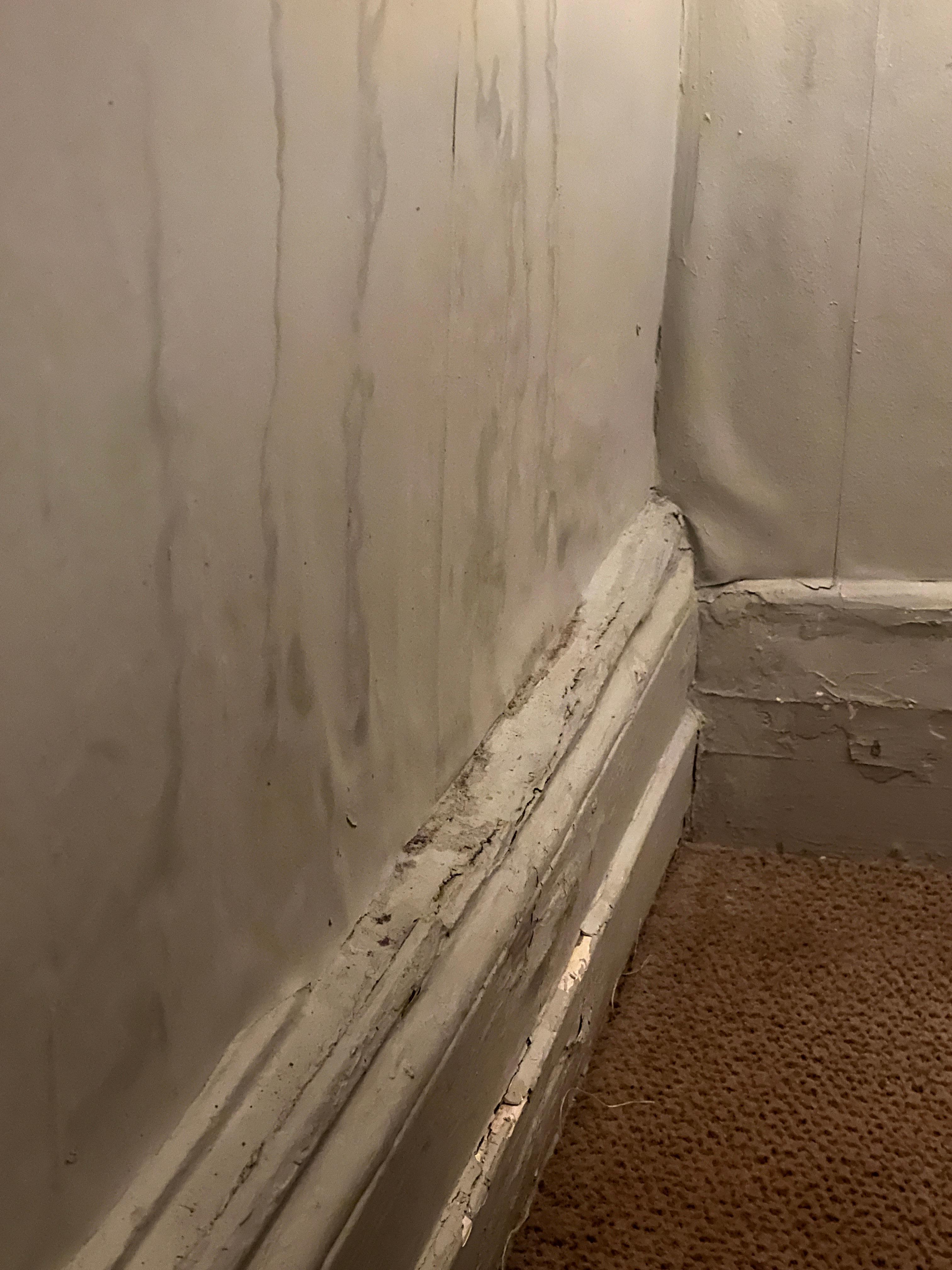 Water damaged walls