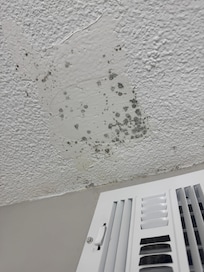 Mildew on ceiling in bathroom