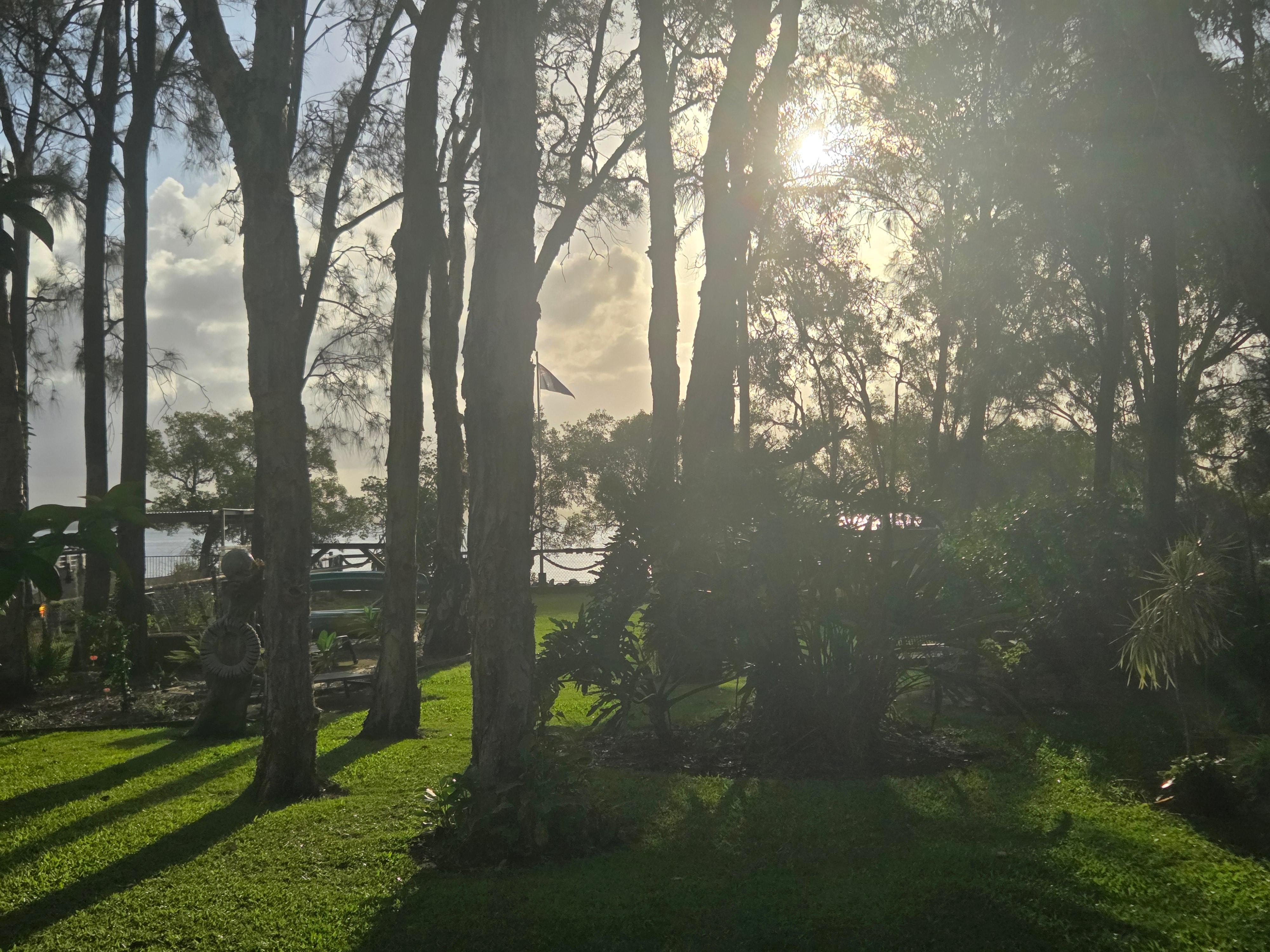 view from back verandah 