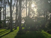 view from back verandah