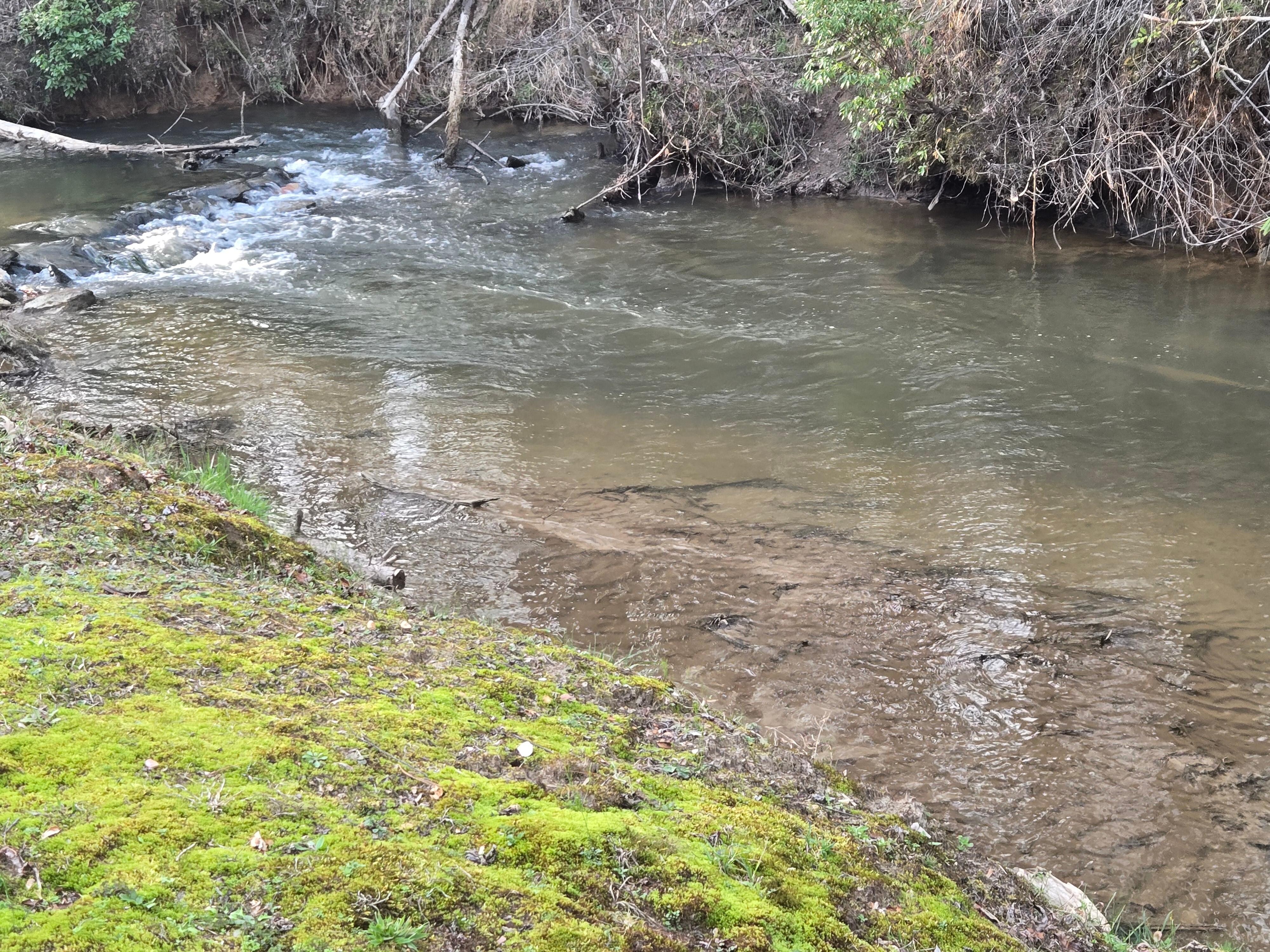 Nice creek on your property.  Neighbors are close / next door on both sides . Just a FYI only one side was rented when we were there .