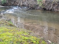 Nice creek on your property. Neighbors are close / next door on both sides . Just a FYI only one side was rented when we were there .