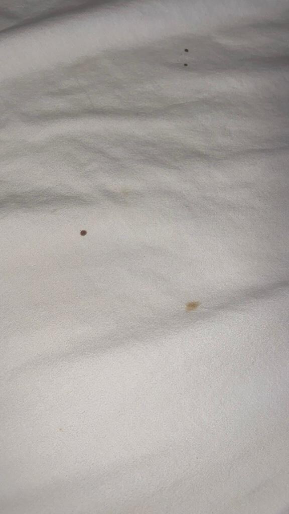 Blood Stains