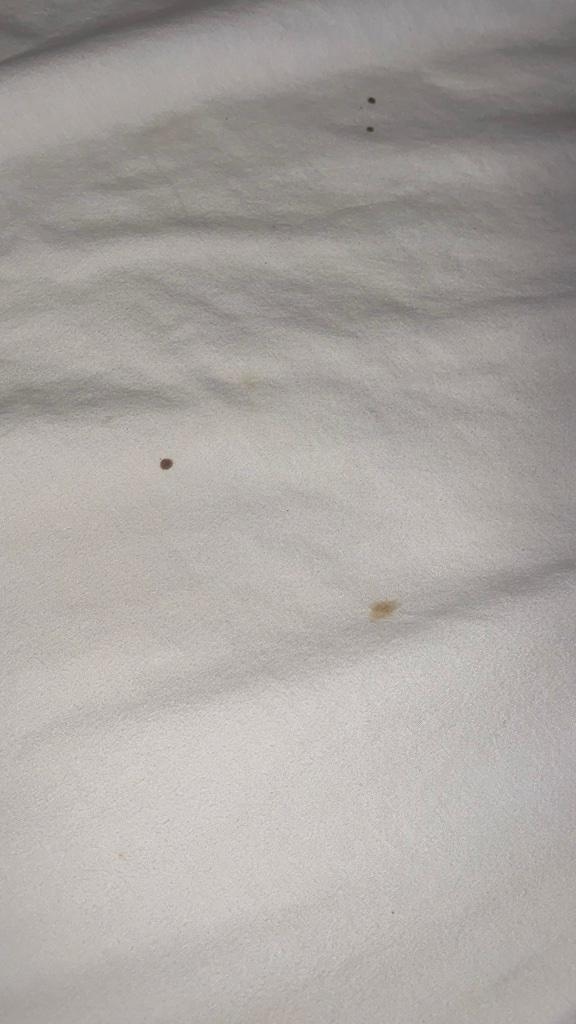Blood Stains