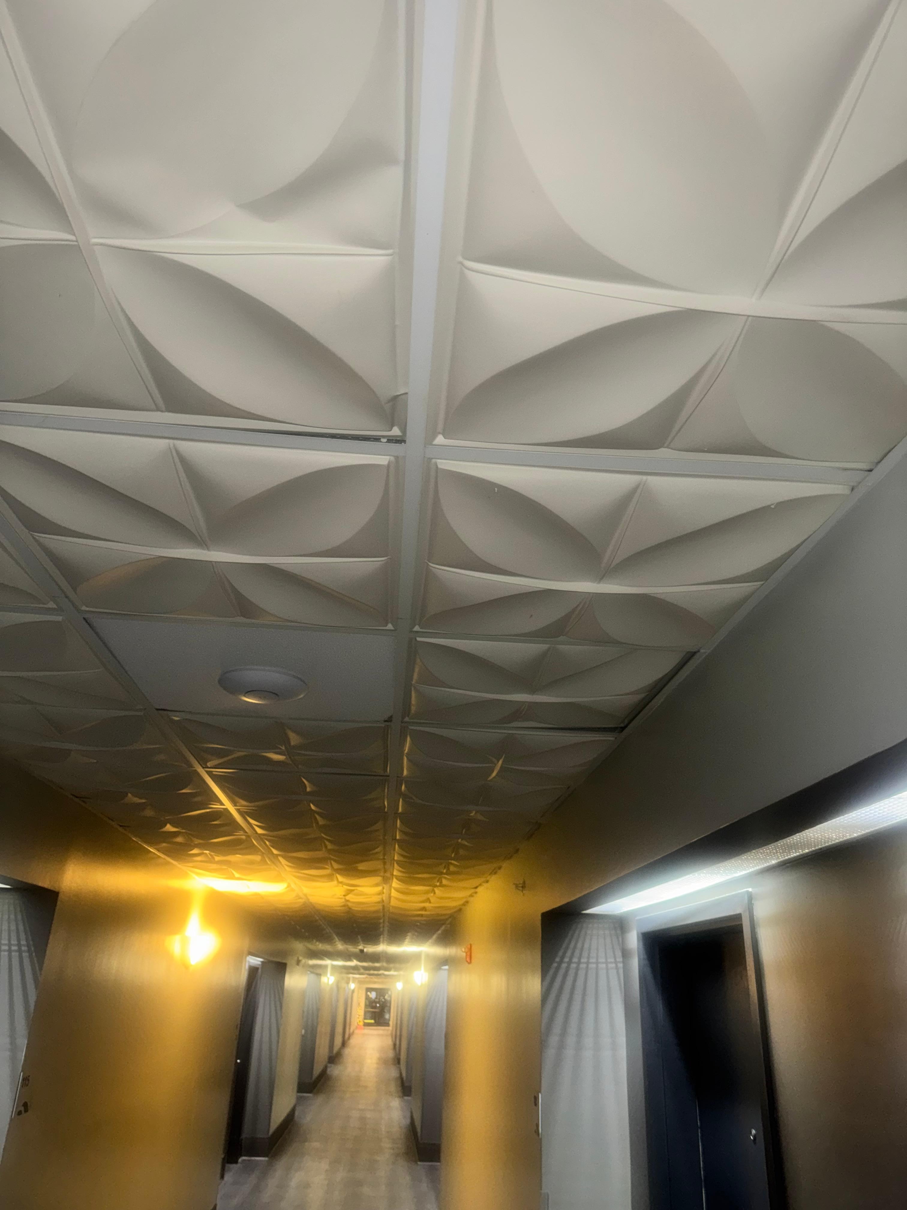 Hallway Ceiling 