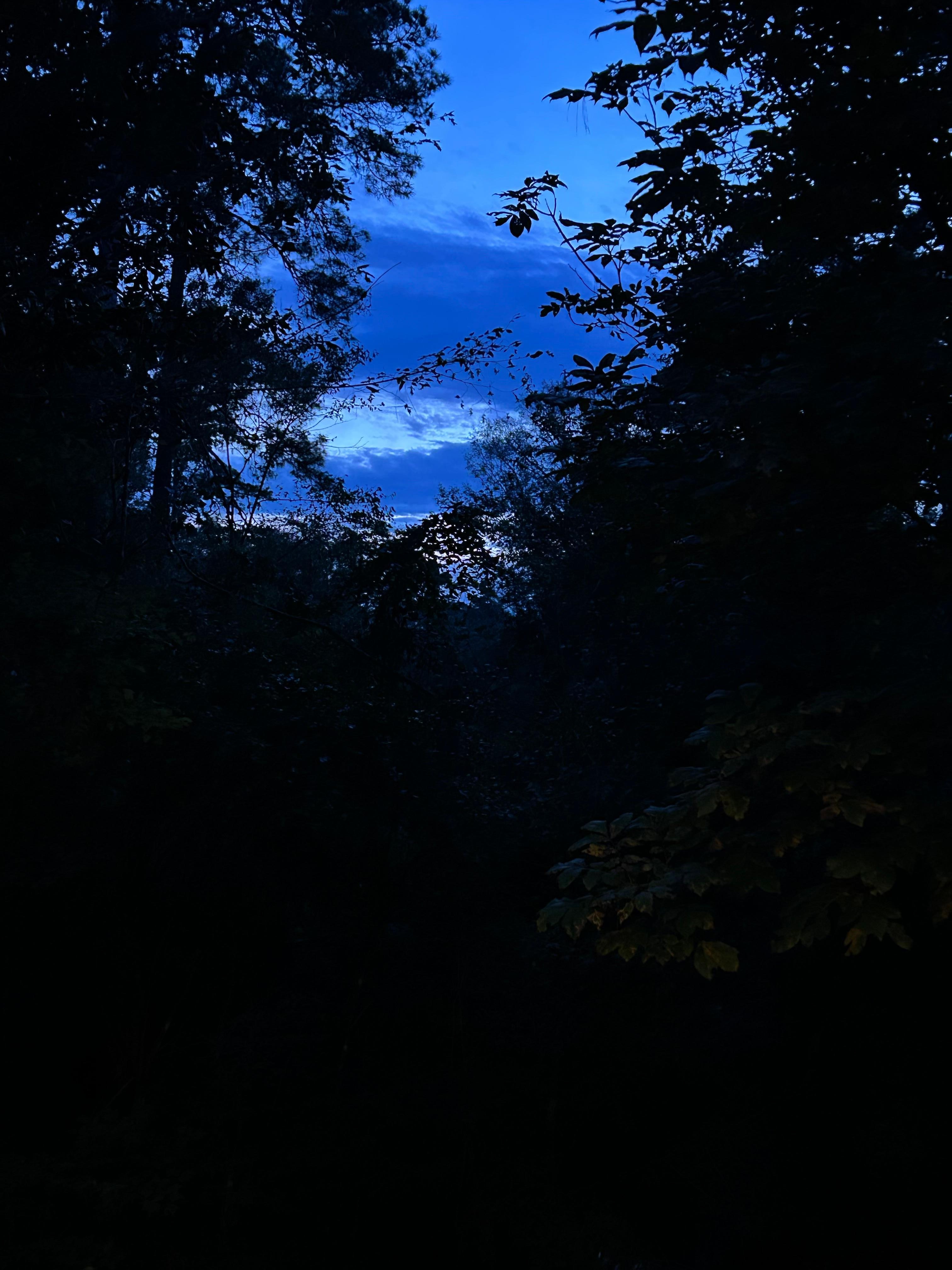 Sunset while having dinner on the porch