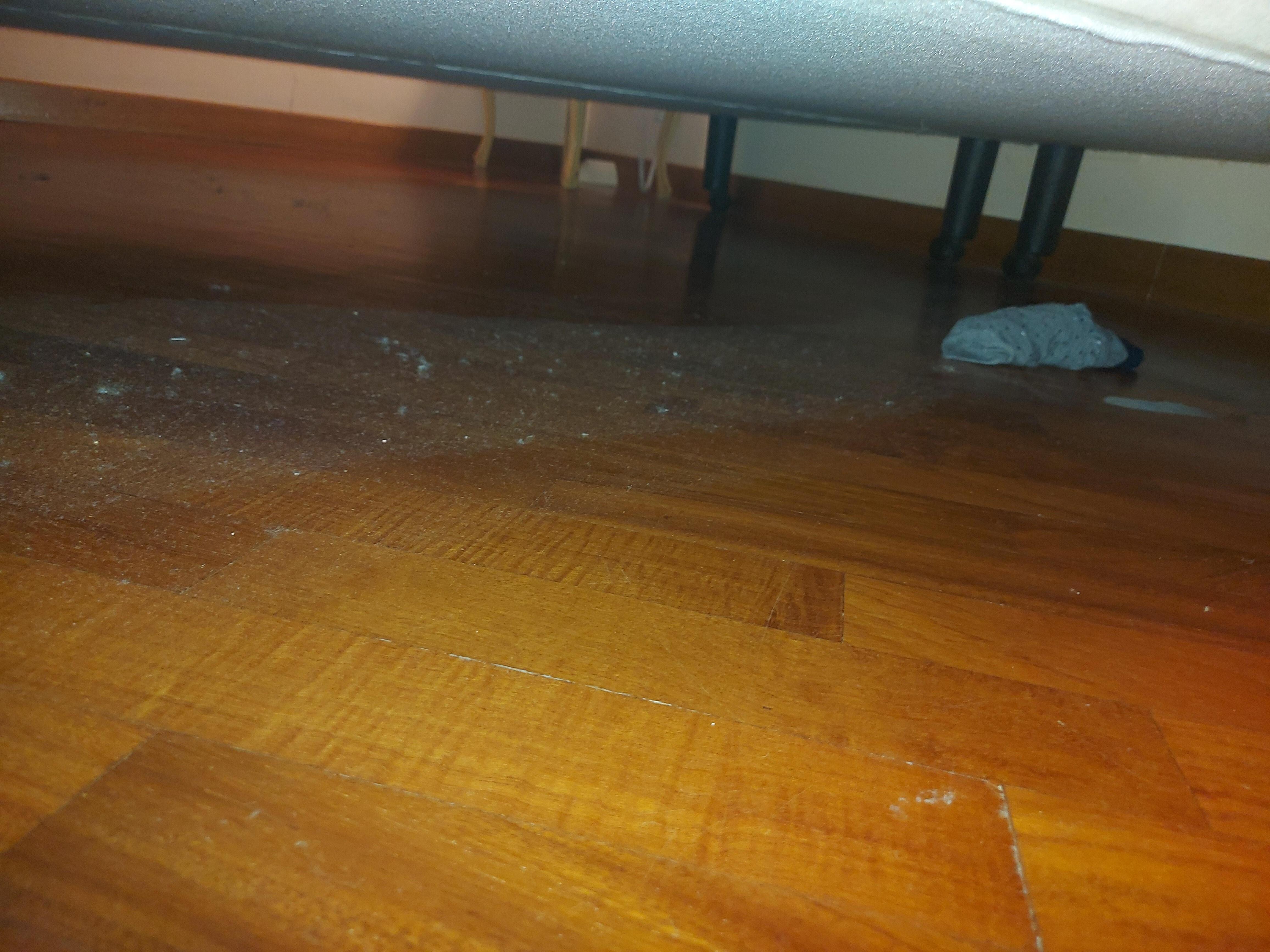 Under the bed