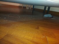 Under the bed