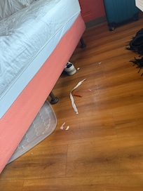 Found Items left under bed