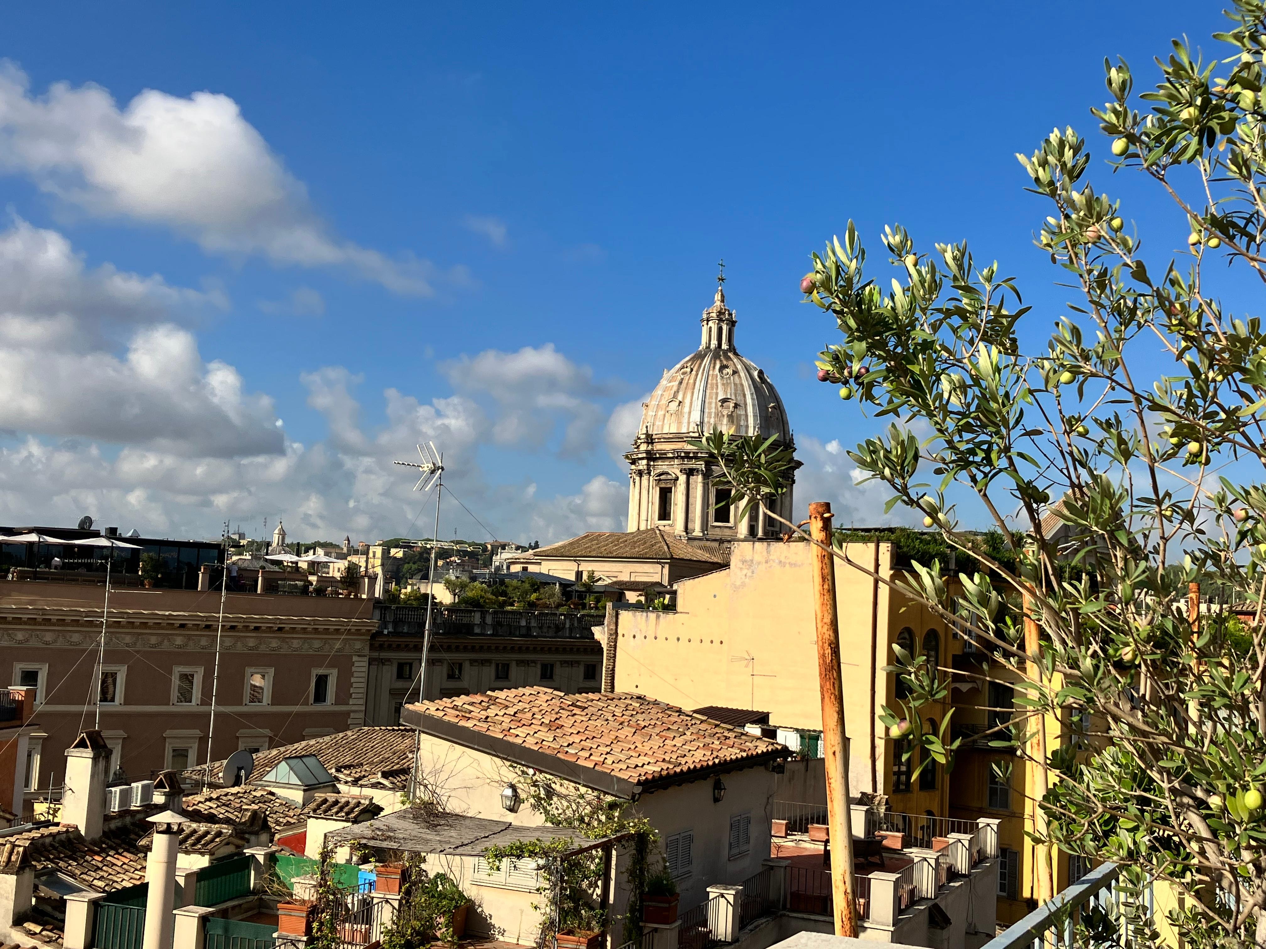 View from the rooftop 