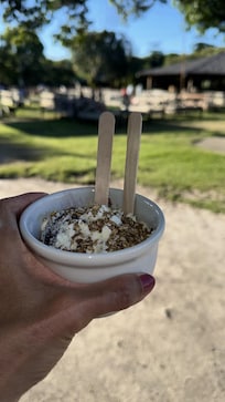 Açaí com sorvete de creme, leite condensado e leite ninho