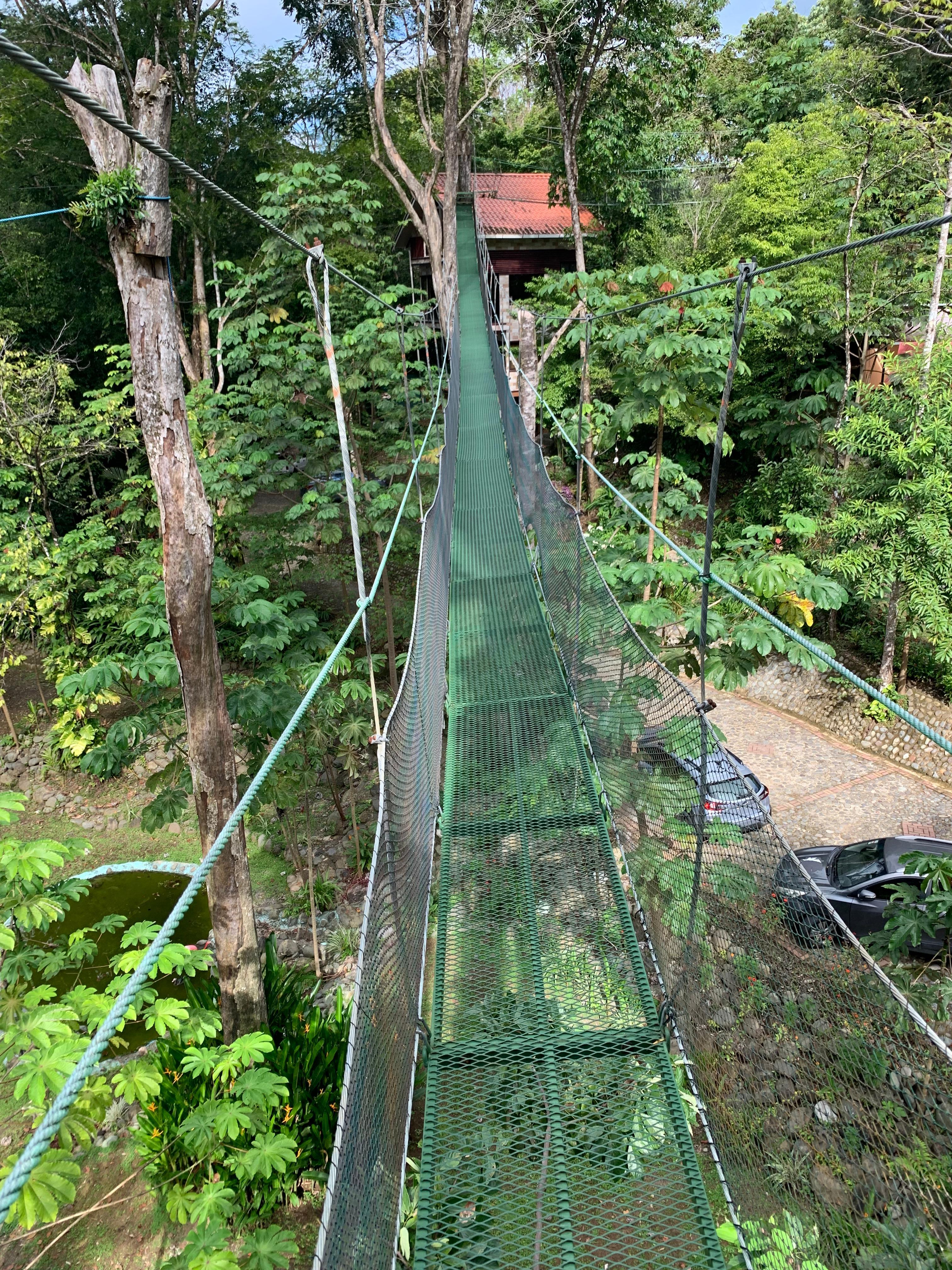 Swinging bridges...ON PROPERTY!