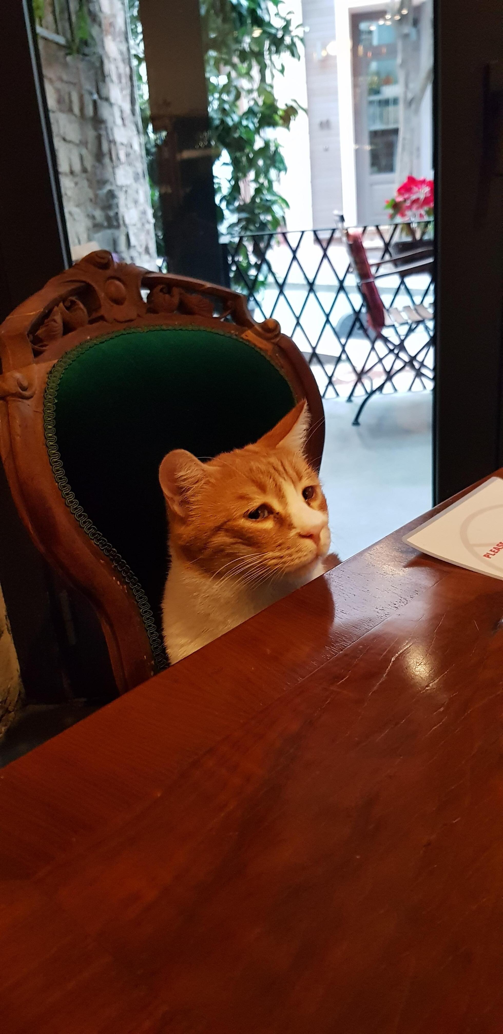 Hotel guest for breakfeast