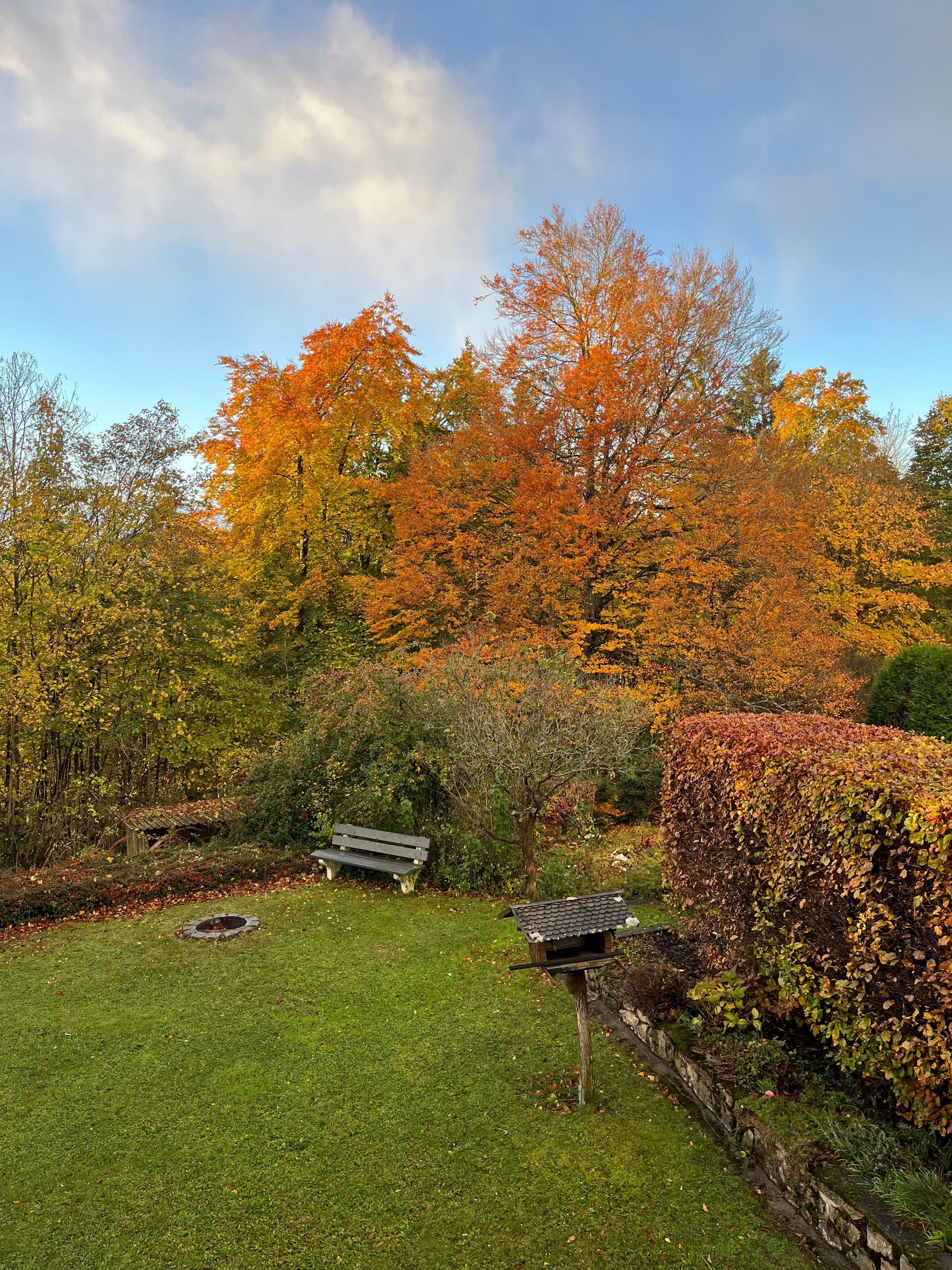 Blick auf den Indian Summer im Schwarzwald 