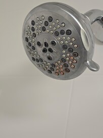Bacteria on showerhead