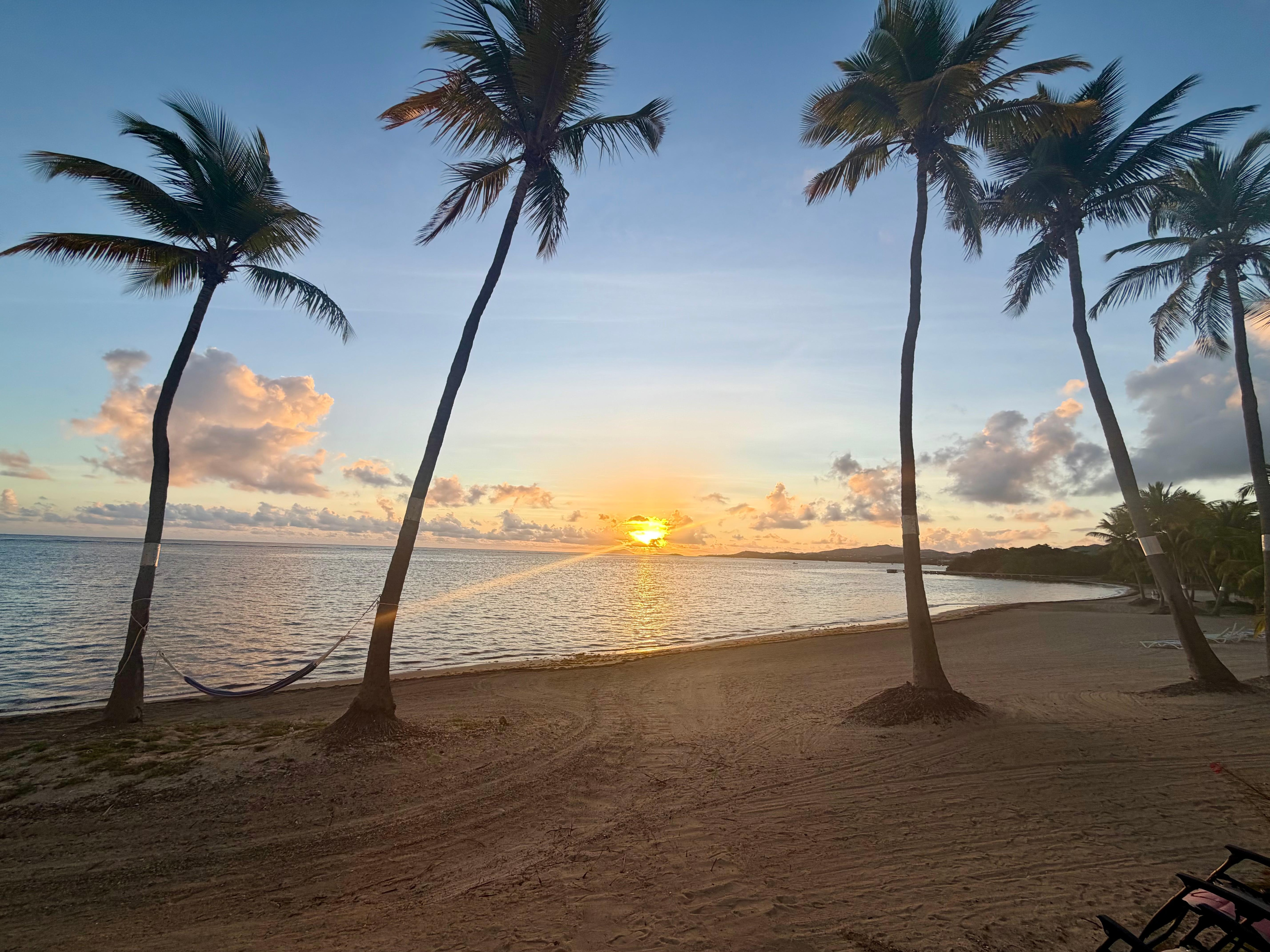 Sunrise each morning. 