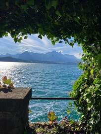 Ausblick vom kleinen 🌊🌱Garten aus