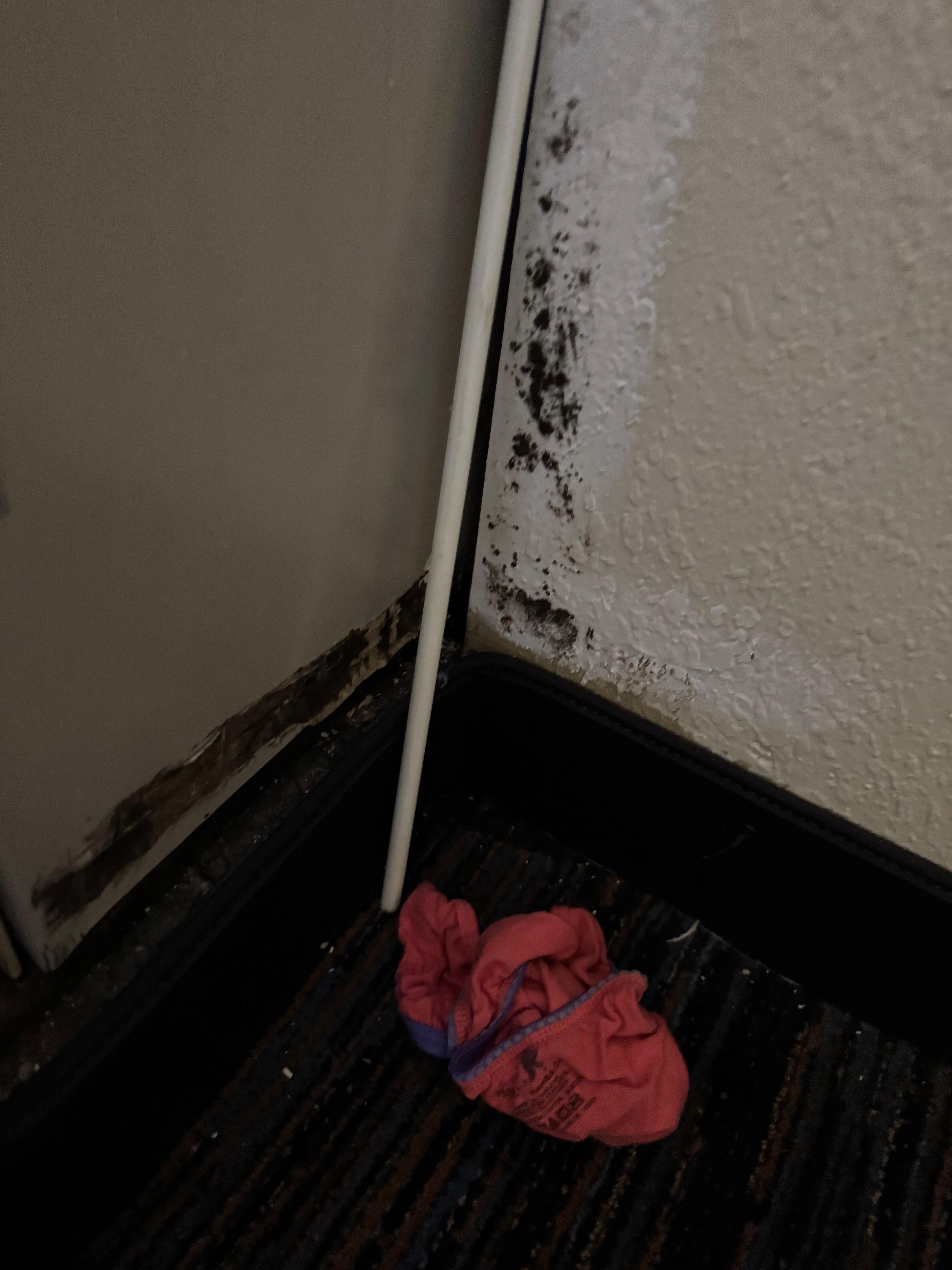 Black mold and someone’s underwear