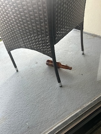Empty Beer bottle on patio
