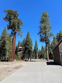 Sugar Pine/ Hrman Mansion