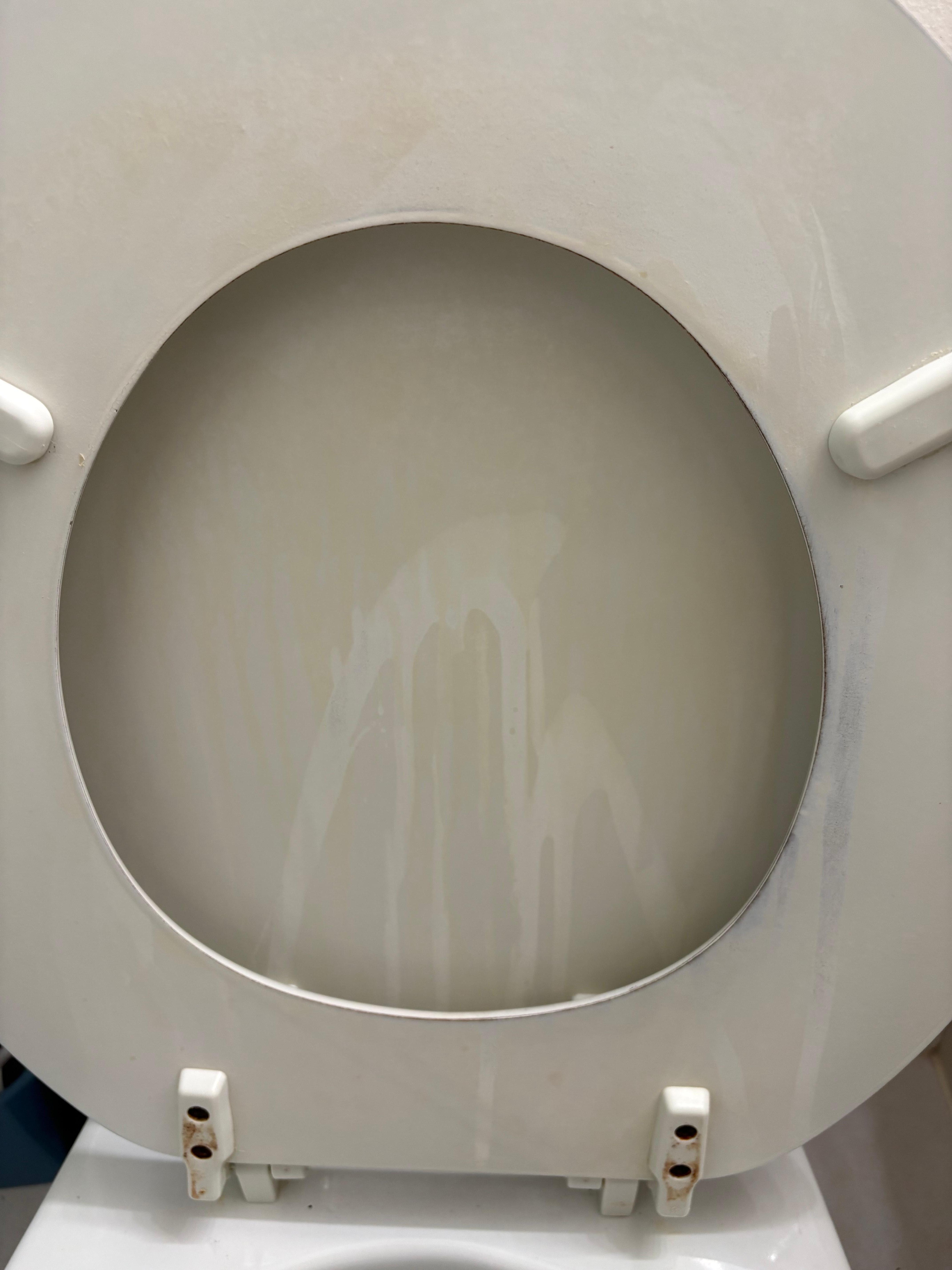 Dont even know what this is