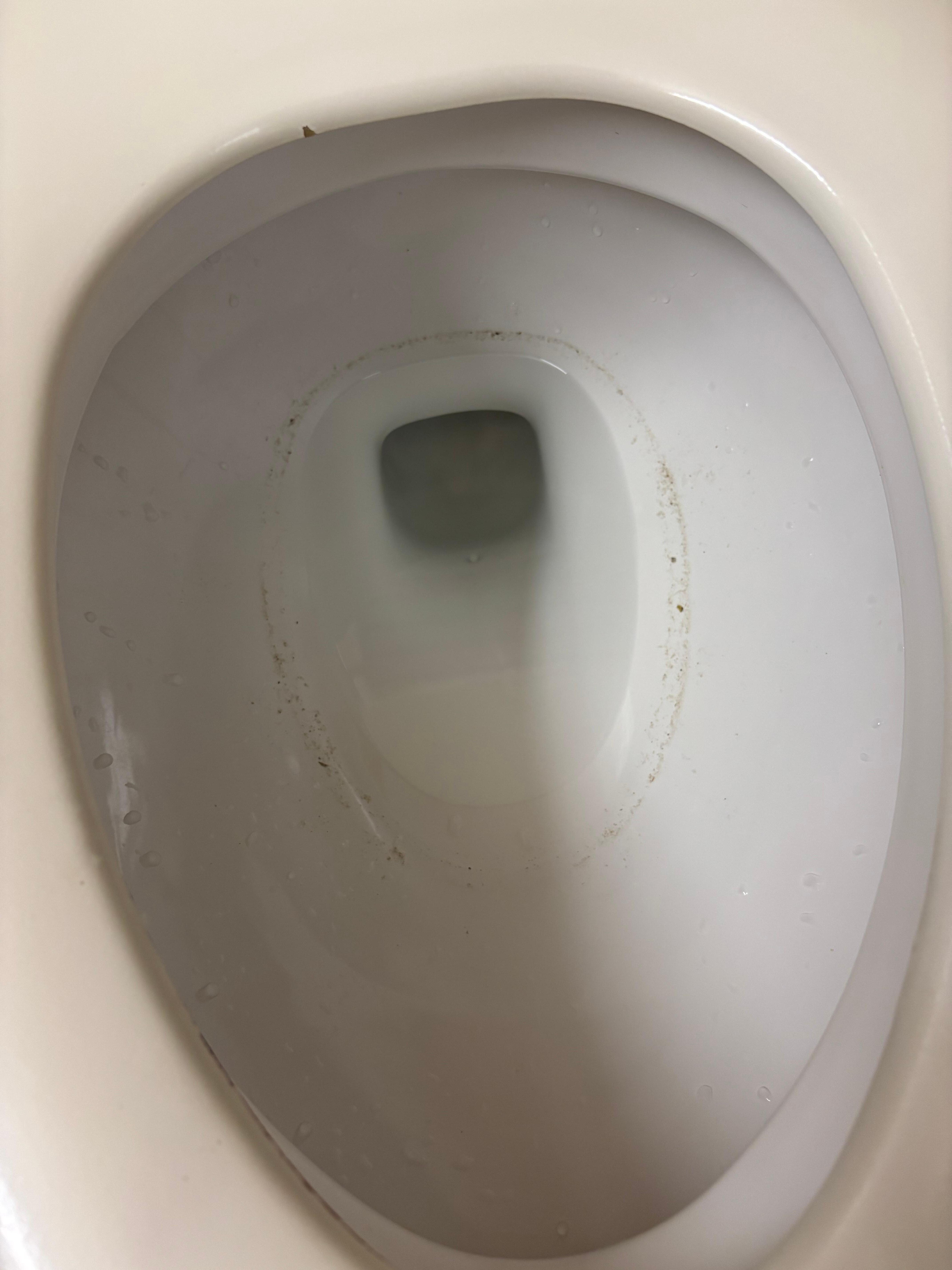Dirty toilet when checking in. 