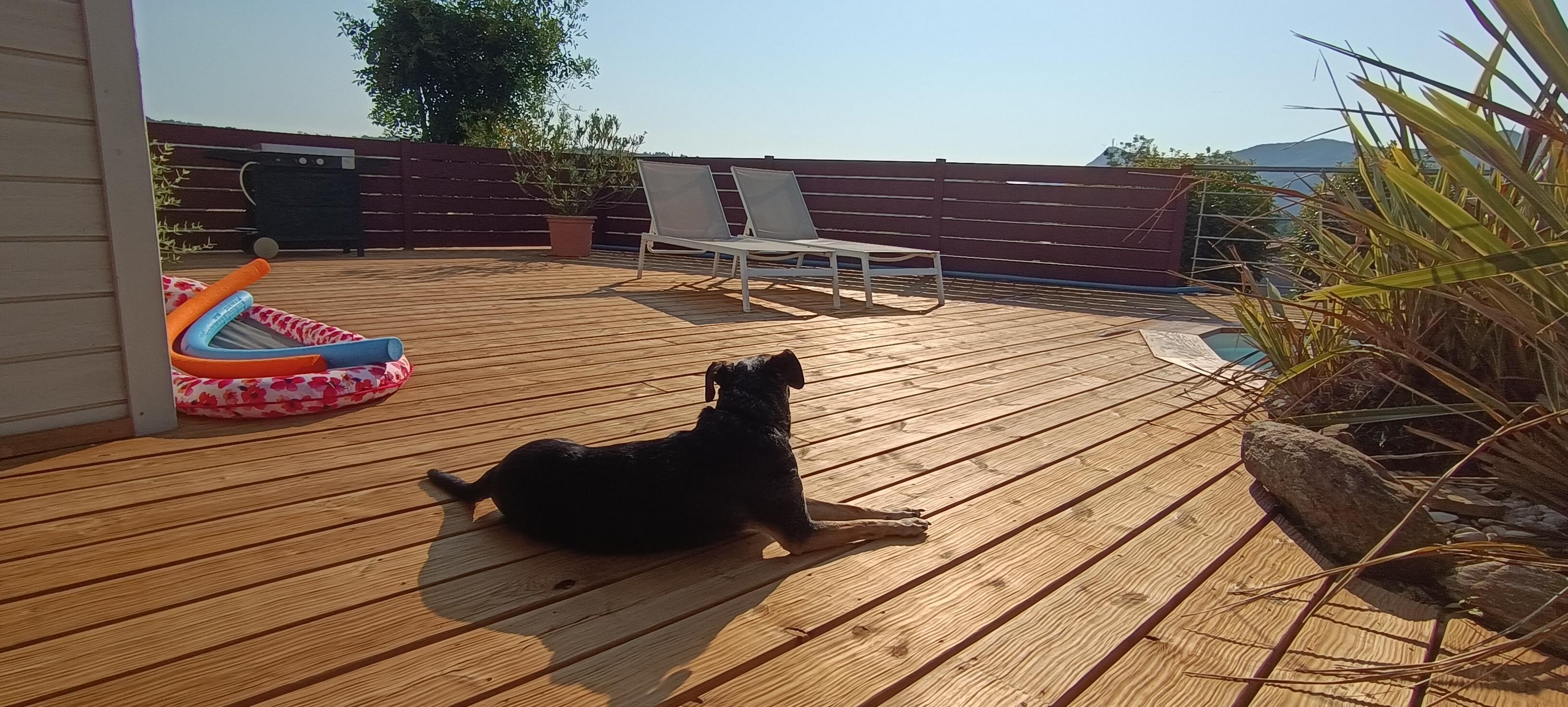 Eingezäunte Terrasse 