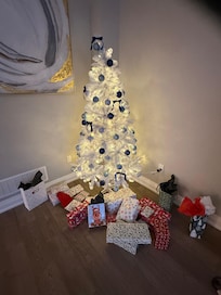 We put up a tree to make it our home away from home.