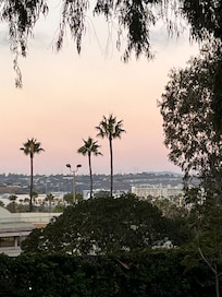 Looking off into the horizon from the driveway
