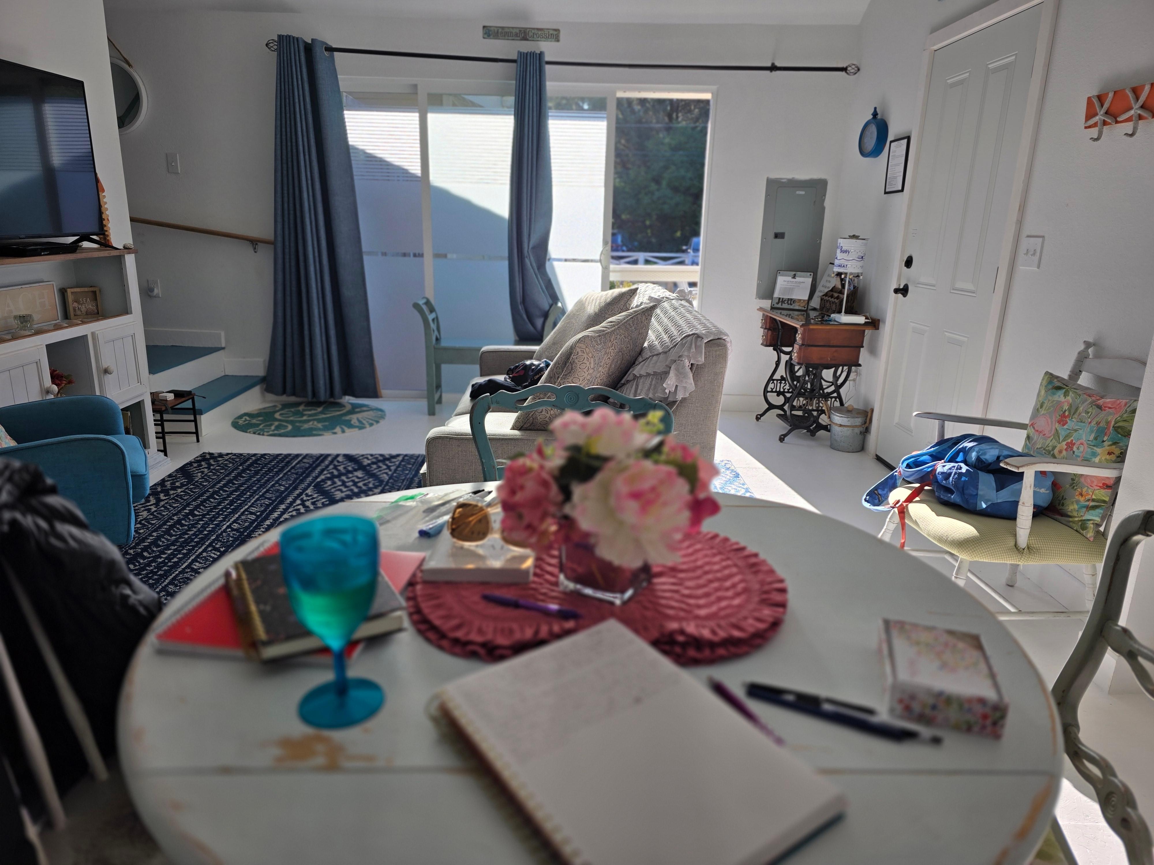 View from the dining room table.