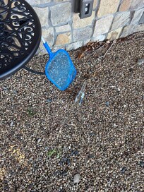 Bottles left on property outside