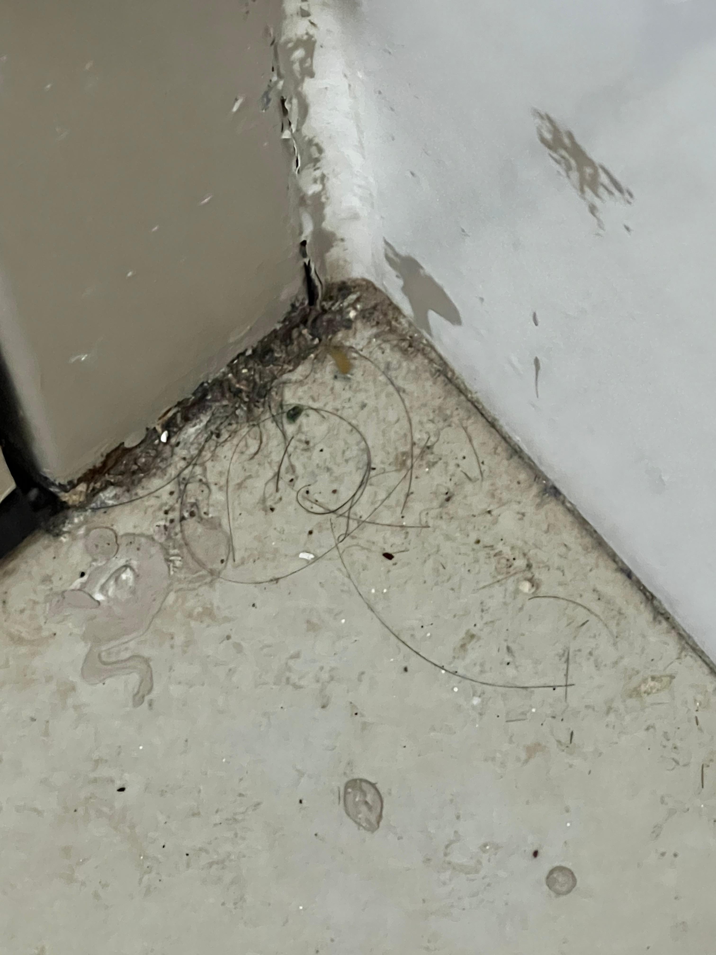 Hair and dirt in the bathroom