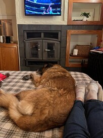 Happy tired dog after a full beach day.