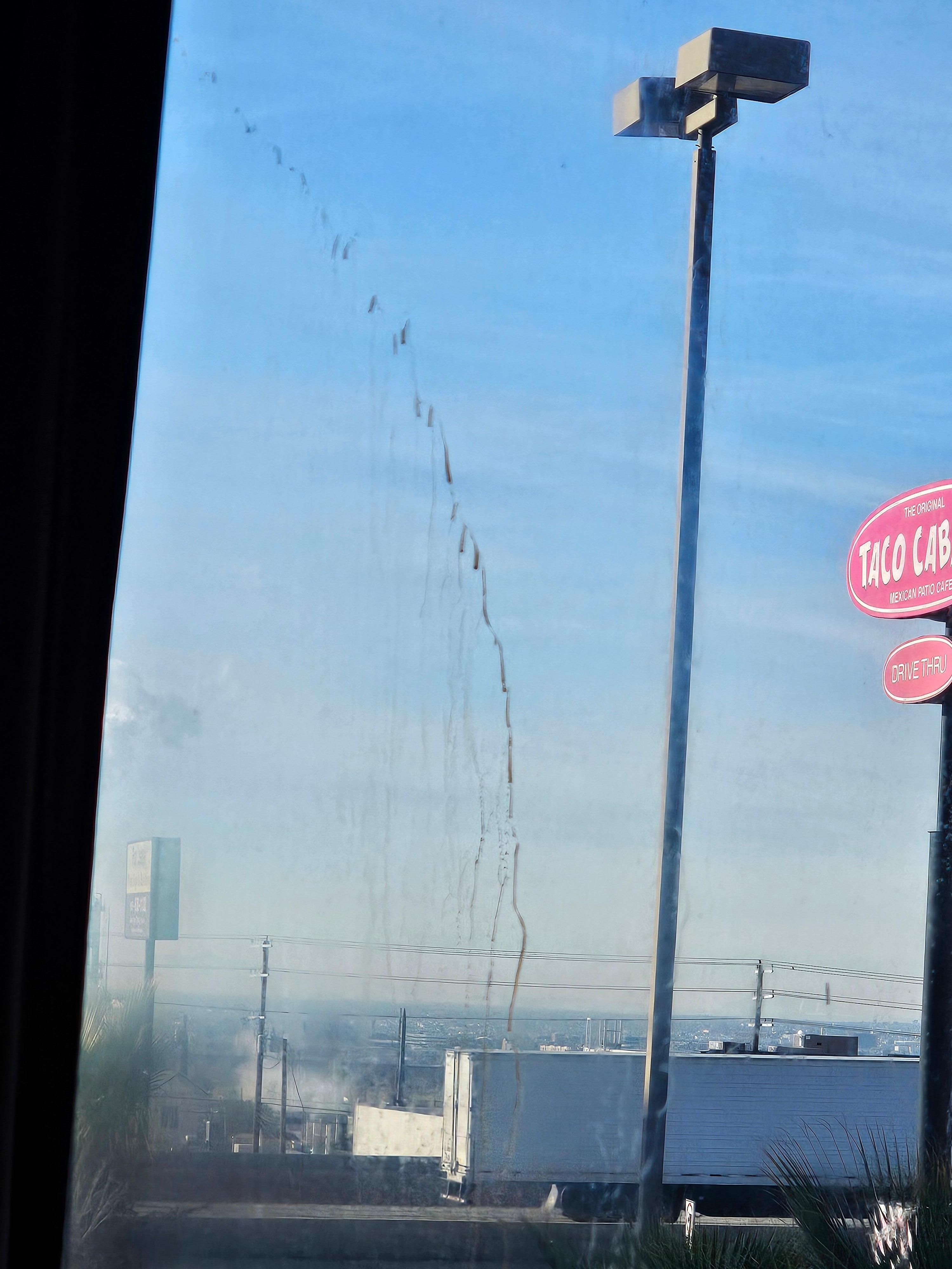 Dried blood or not sure what all over the windows 