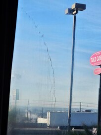 Dried blood or not sure what all over the windows