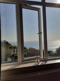 Room with a view