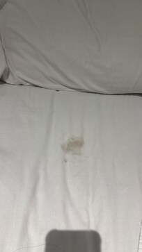 I wonder They never changed fitted sheets