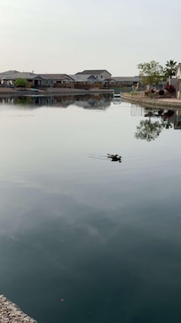 Lake view from the back yard.
