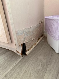 Water damaged bathroom counter, mold inside