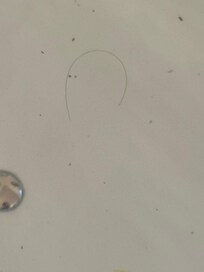 Wirlpool das kam aus den Düsen