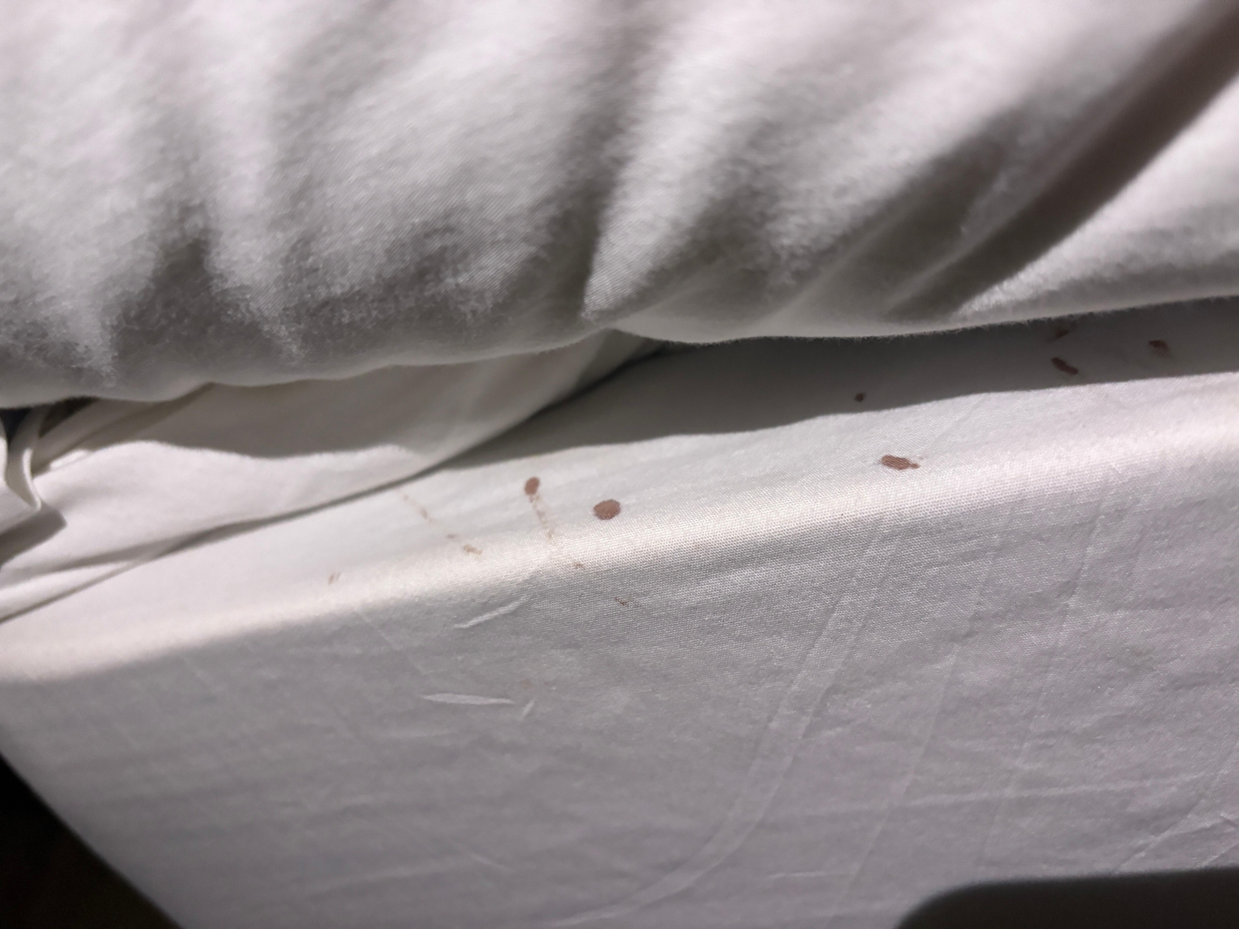 Blood on bedskirt