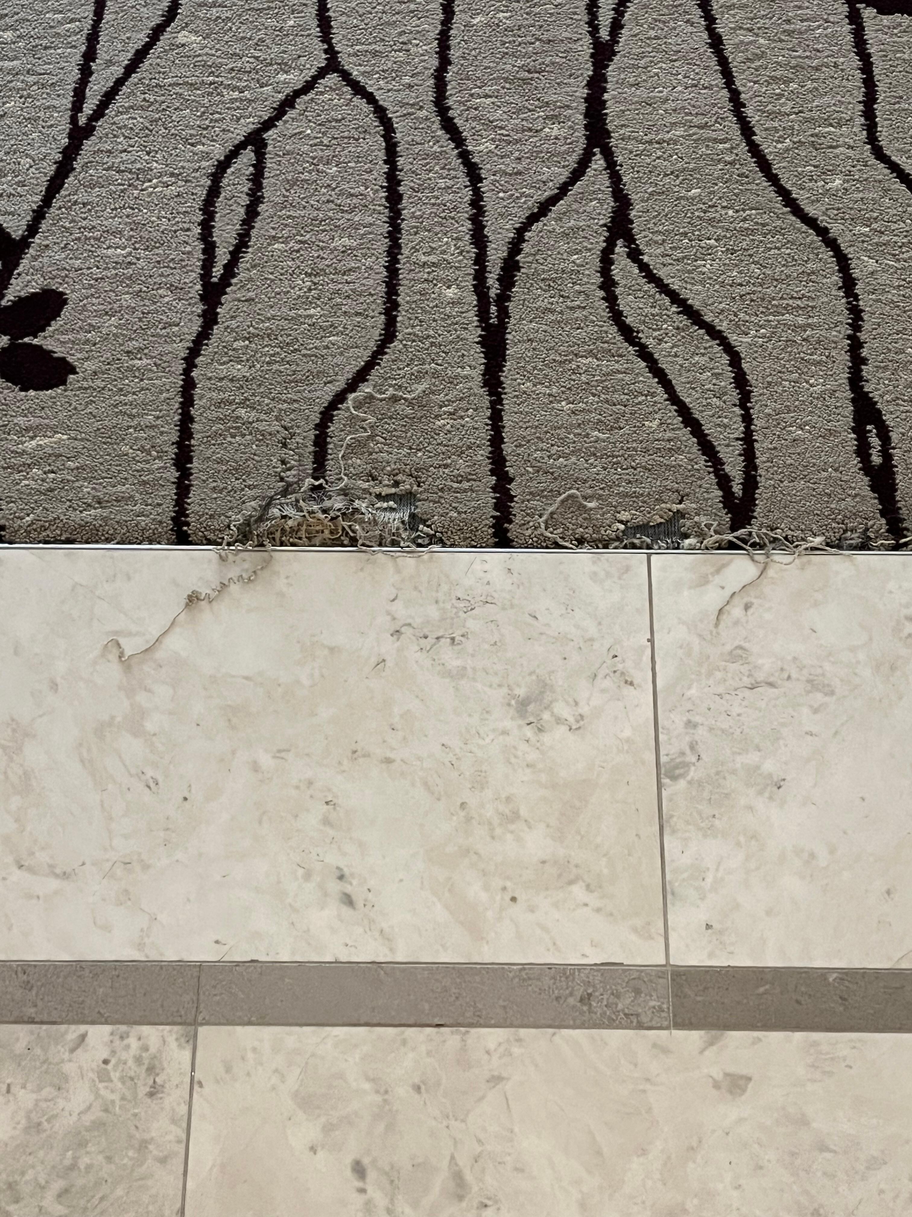 Ragged and torn carpet 