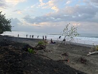 This crew would gather late afternoons to play. Loved seeing that